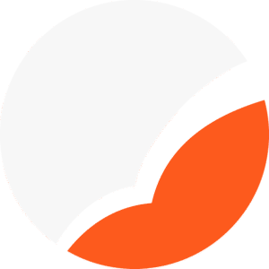 sylverline logo icon alt